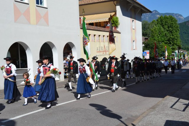 Ehrenkompanie Auer 2015