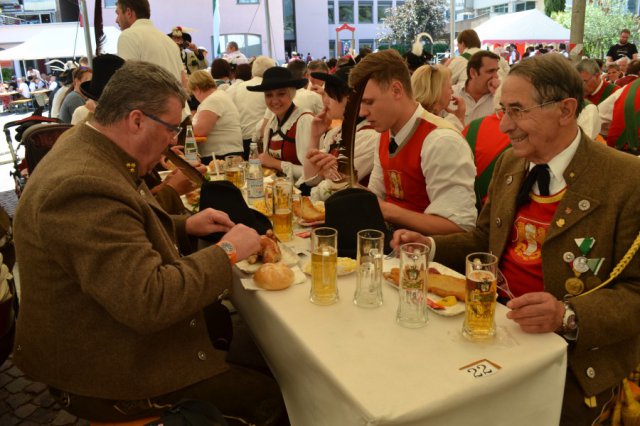 Ehrenkompanie Auer 2015